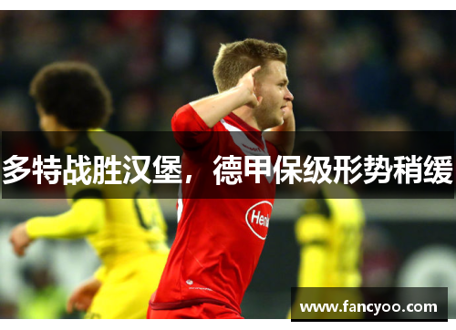多特战胜汉堡,德甲保级形势稍缓 多特战胜汉堡,德甲保级形势稍缓