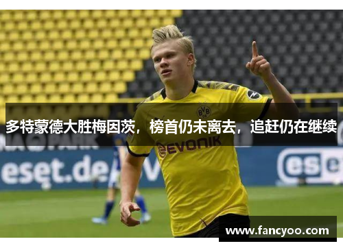多特蒙德大胜梅因茨，榜首仍未离去，追赶仍在继续